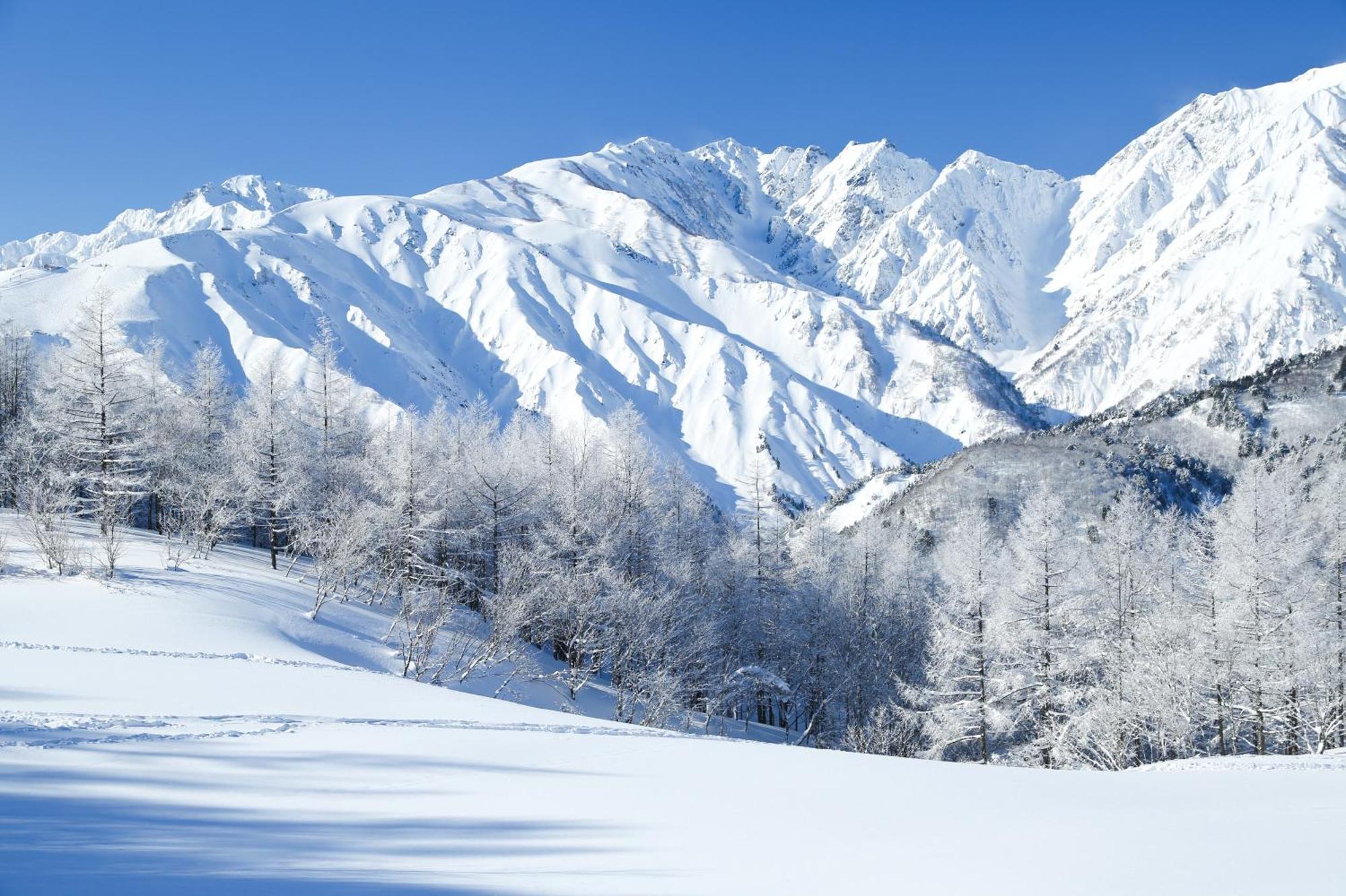Hakuba Hatago Maruhachi מראה חיצוני תמונה